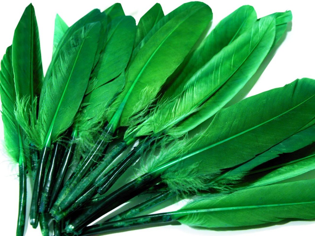 Decorative duck feather length 9-14 cm 