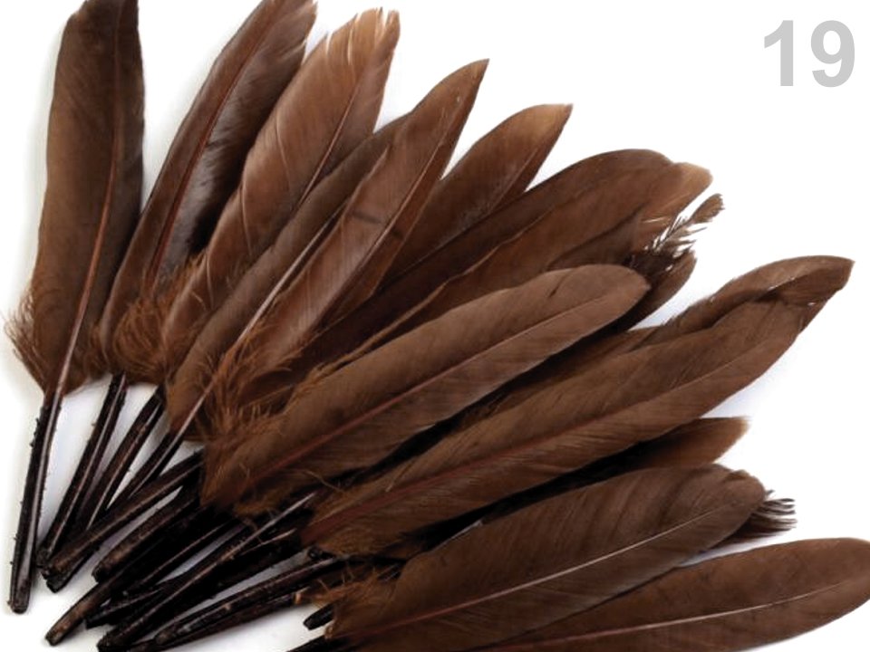 Decorative duck feather length 9-14 cm 
