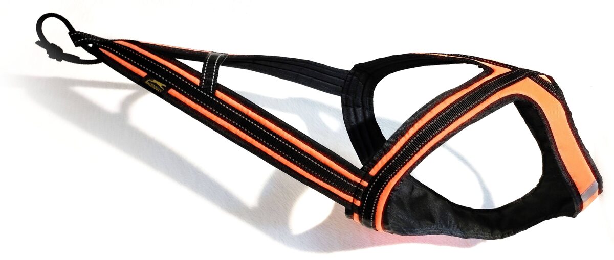 Racedog DRAGON Open Back padded harness.