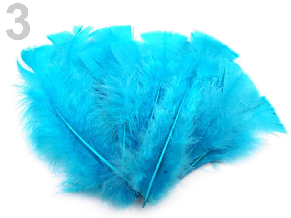 Coloured Turkey Feathers length 11-17 cm 