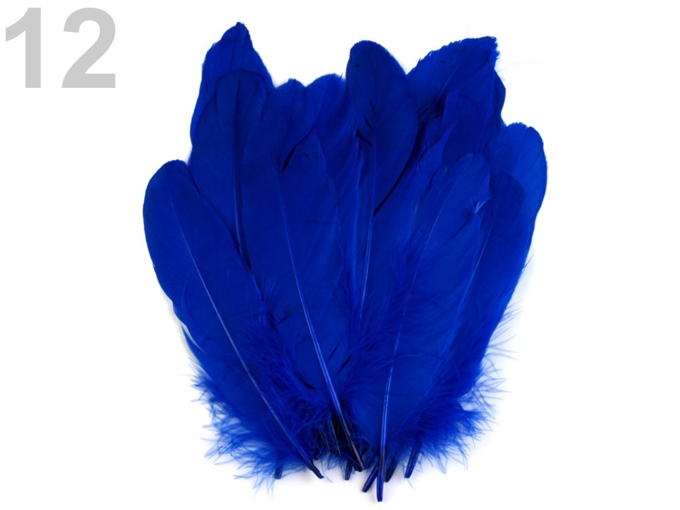 Spalvas Decorative Goose Feathers length 15-21 cm
