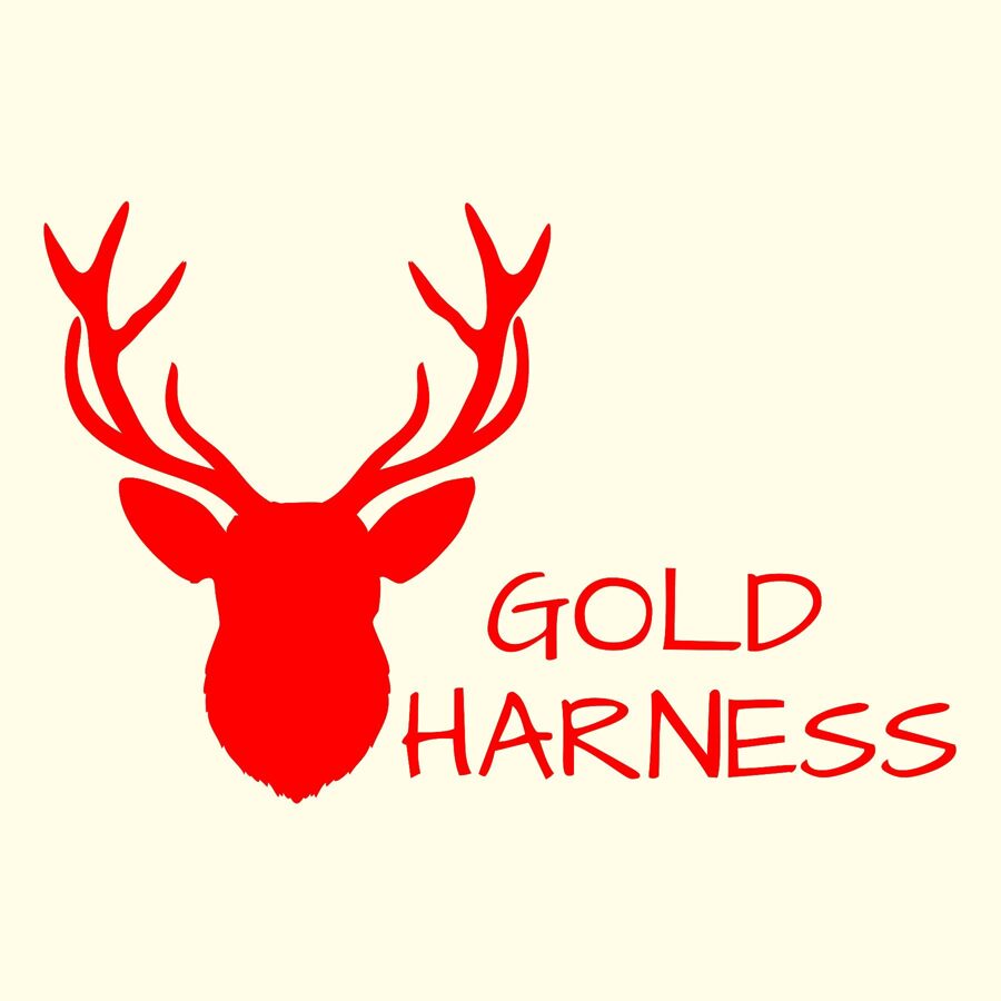 GoldHarness Body harness Leg 2