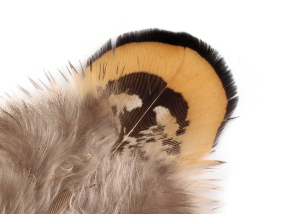 Spalvas Ornamental Pheasant Feather length 4.5-8.5 cm