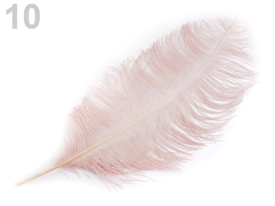 Ostrich Feathers 60 cm 