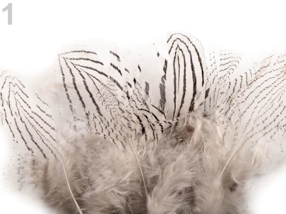 Pheasant feathers length 5 - 11 cm 