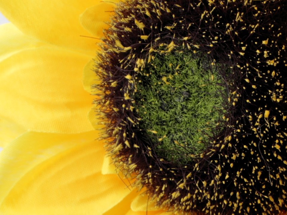 Artificial Sunflower