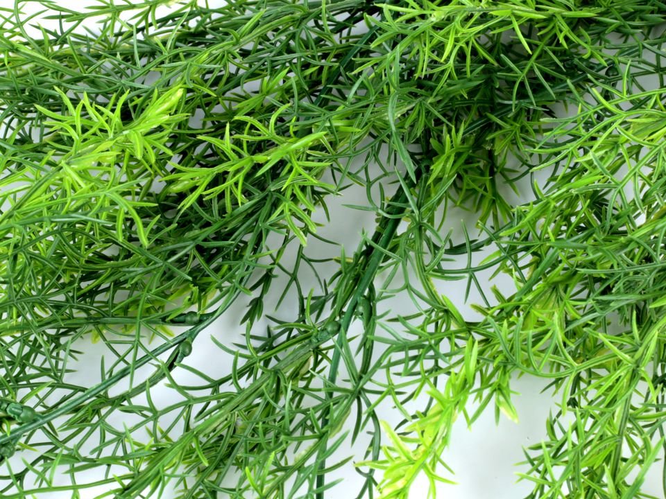 Artificial Asparagus Fern Bush