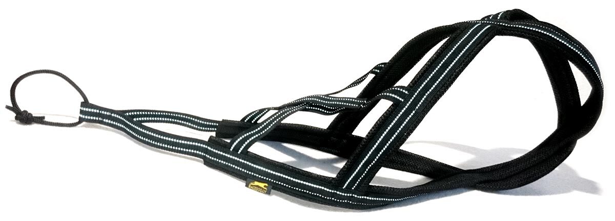 RACEDOG padded harness X-back REFLECTIVE