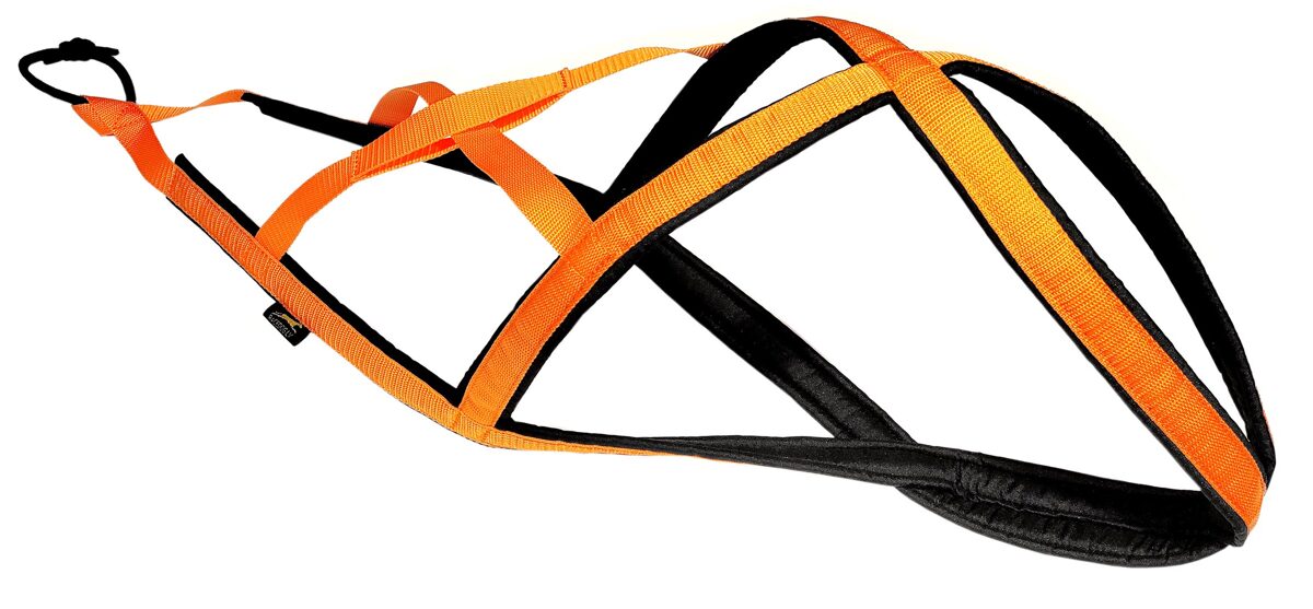 RACEDOG padded harness AUSMA X-BACK