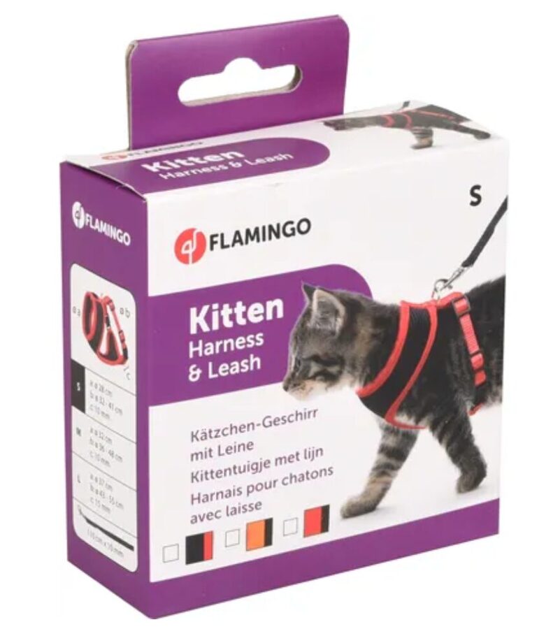 Harms Kitten harness set R/BL 110 cm 10 mm 1031372