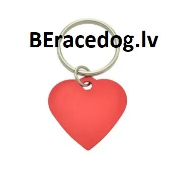Aluminum Heart-Shaped Pet ID Tag RED set