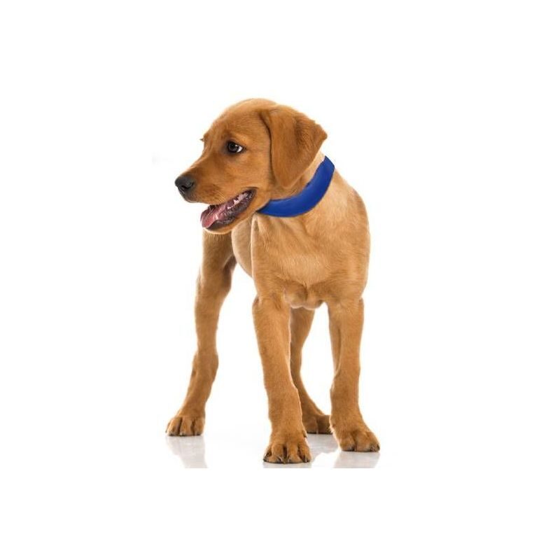 RECORD STAY FRESH COOLING COLLAR 30-36 CM