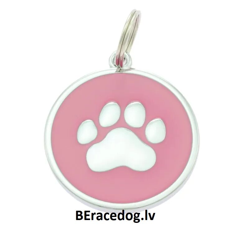 Dog identity ID tag Paw Pink set