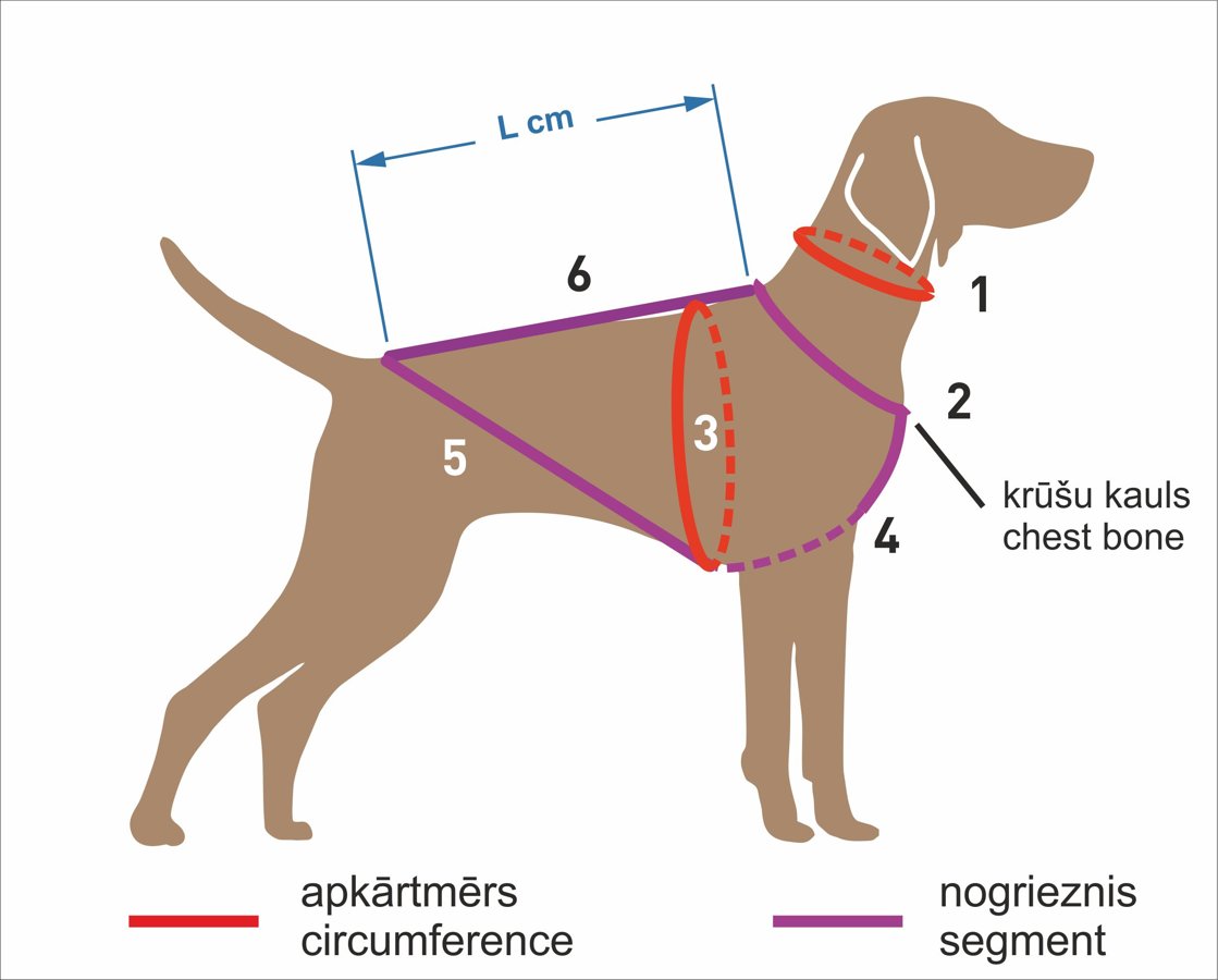 RACEDOG PADDED X-BACK dog harness ZEMGUS COMFORT