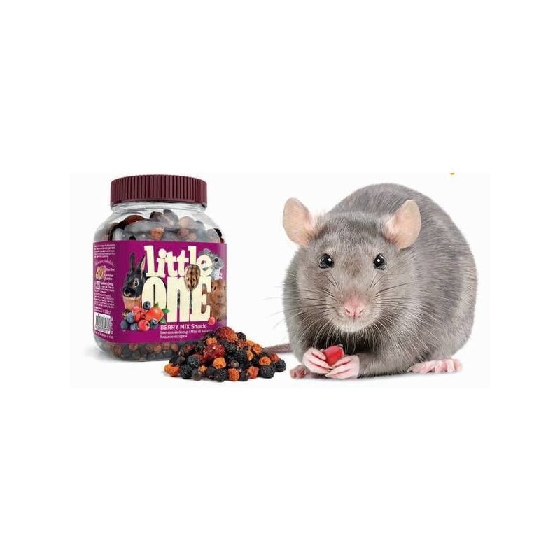 Little One snack "Berry mix" 200g