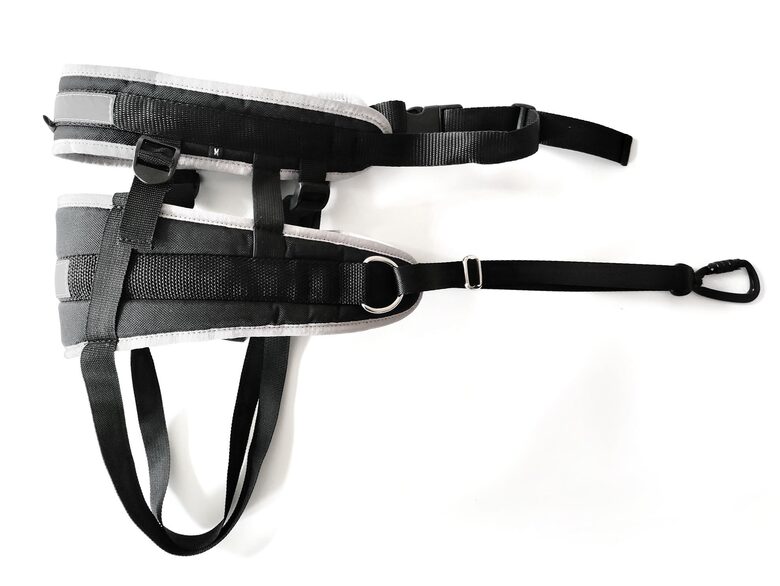 RACEDOG canicross belt Advanced Plus