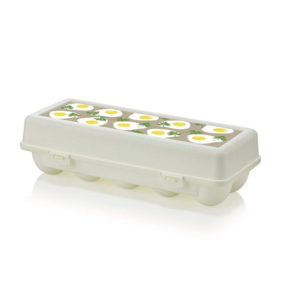 Plastic egg storage container for 10 eggs