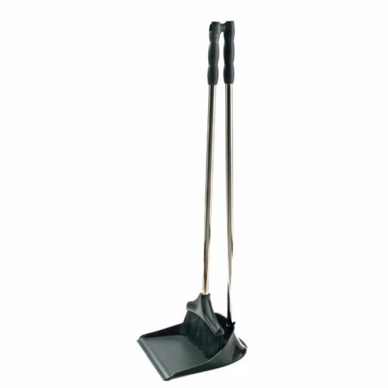 Saslauku liekšķere ar birsti kātā melna