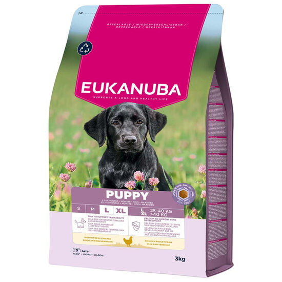 Eukanuba Puppy Large Breed Chicken 3 kg