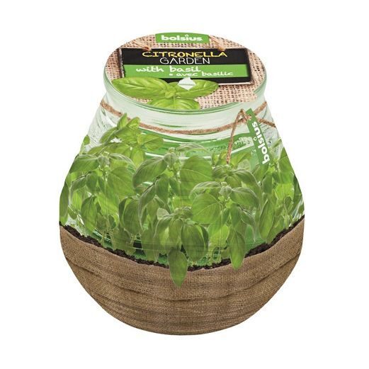 Mosquito Repellent Candle Ø8.5x9cm Citronella & Basil