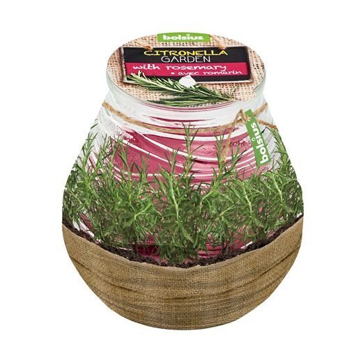 Mosquito Repellent Candle Ø8.5x9cm Citronella & Rosemary