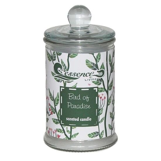 Aromātiska svece 11,3cm Essence Living Bird of paradise