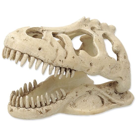 Dekors terārijam Repti Planet T:REX skull 13,3x8,5x9cm