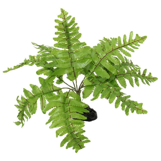 Dekors terārijam Repti Planet Nephrolepis fern 20 cm