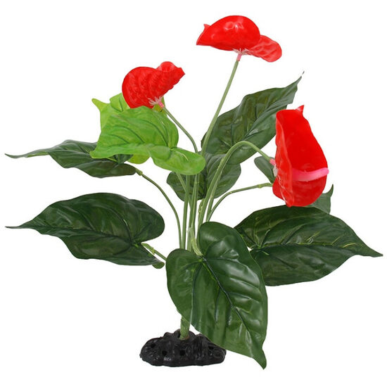 Māksīgais augs terārijam Repti Planet Plant Anthurium 40cm