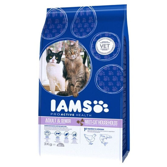 Sausā barība kaķiem IAMS CAT Multicat Chicken Salmon 15 kg