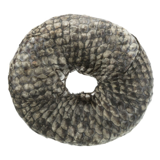 Gardums suņiem Trixie Denta Fun Fish Chewing Ring, bulk, ø10cm, 110g