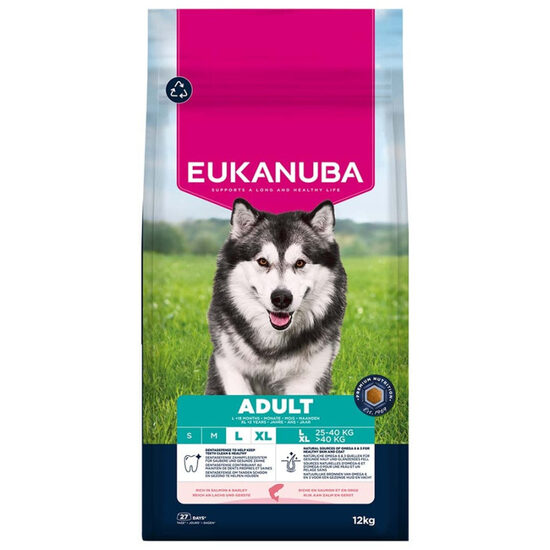 Dog dry food Eukanuba Adult Large Salmon 12 kg
