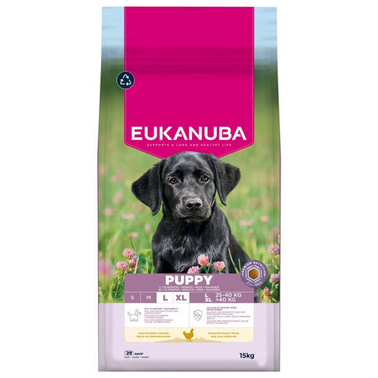 Dog Dry food Eukanuba Puppy Large Breed Chicken 15 kg
