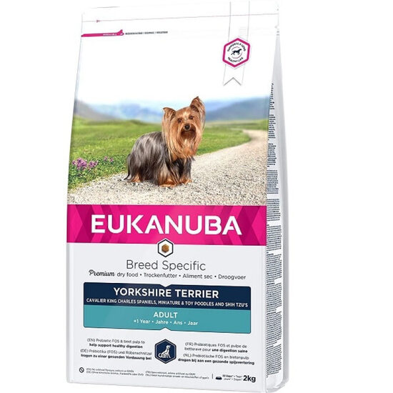 Dog dry food Eukanuba Adult Yorkshire Terrier 2 kg