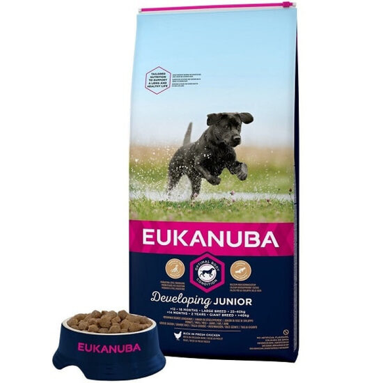 Dog dry food Eukanuba Junior Large Breed Chicken 15 kg