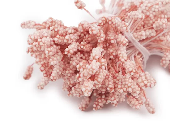 Dekoratīvās puķes