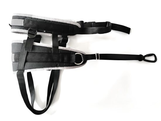 RACEDOG kanikrosa josta Advanced Plus