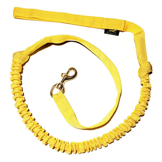 Longer Racedog elastic line 2,95 m (for skijoring) with brass carabine
