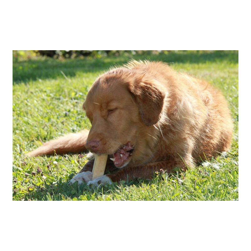 Cheese chew for dogs XL, 110-140 g.