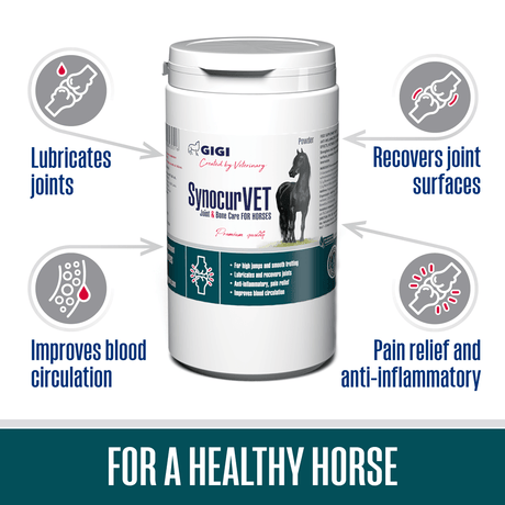 GIGI Synocur VET 1250g Joint & bone care for horses