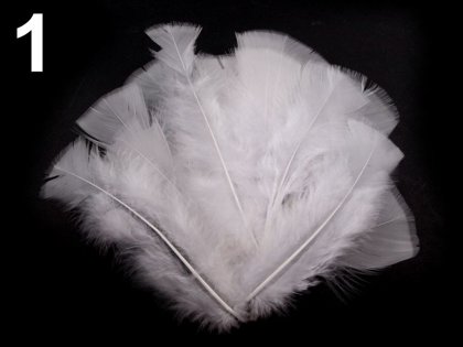 Spalvas Coloured Turkey Feathers length 11-17 cm