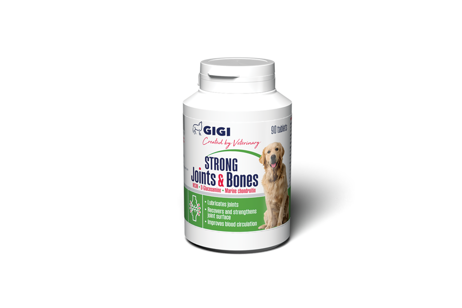 GIGI Strong Joints & Bones N90