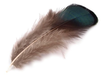 Ornamental Pheasant Feather length 4.5-9 cm 20 pcs