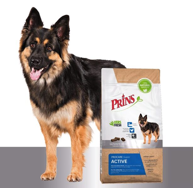 Prins ProCare Super Active 20 kg