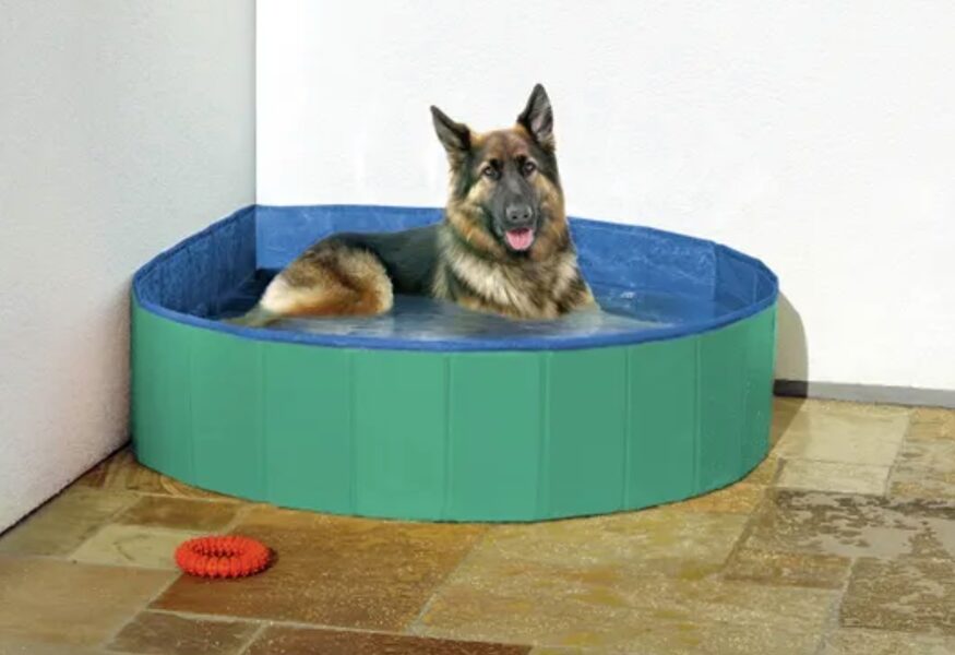 Folding Doggy Splash Pool Green/Blue S 80x20cm 31556