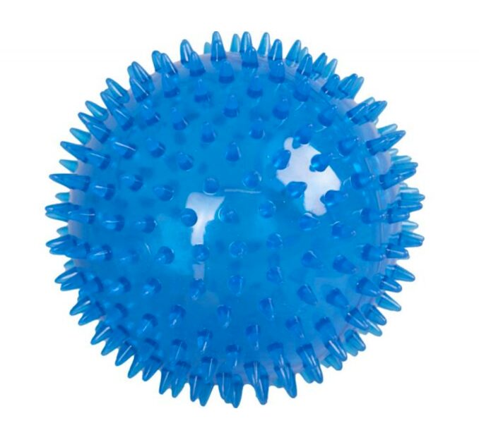 Rotaļlieta suņiem TPR bumba ar adatu izciļņiem un LED apgaismojumu zila 12.5 cm 514986