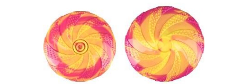 FLMG rotaļlieta suņiem TPR DT Zaza frisbija šķīvis M iep.3 (22.5 cm) 519728