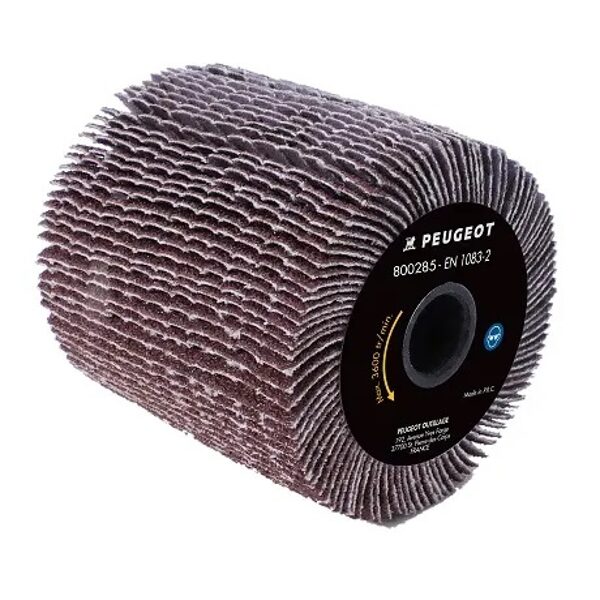 PEUGEOT abrazīvo lameļu rullis GR80, Ø80x100mm atjaunošanai