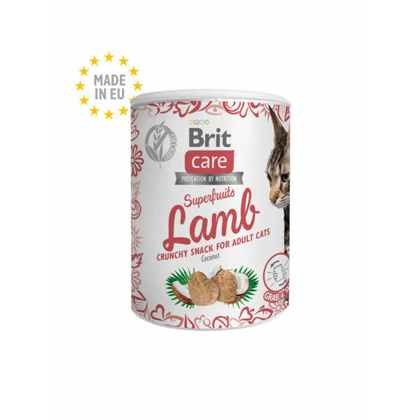 Brit Care Cat Snack Superfruits Lamb 100 g papildbarība kaķiem