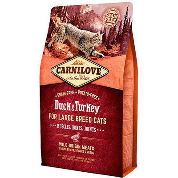 CARNILOVE Duck & Turkey Large Breed Cats 2kg barība kaķiem